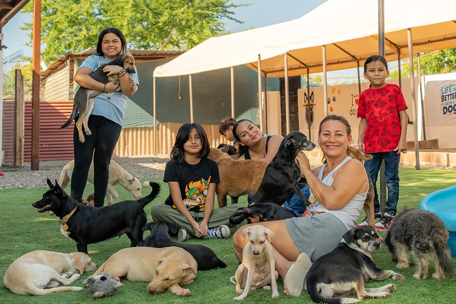 A Dog’s New Life Marival Distinct