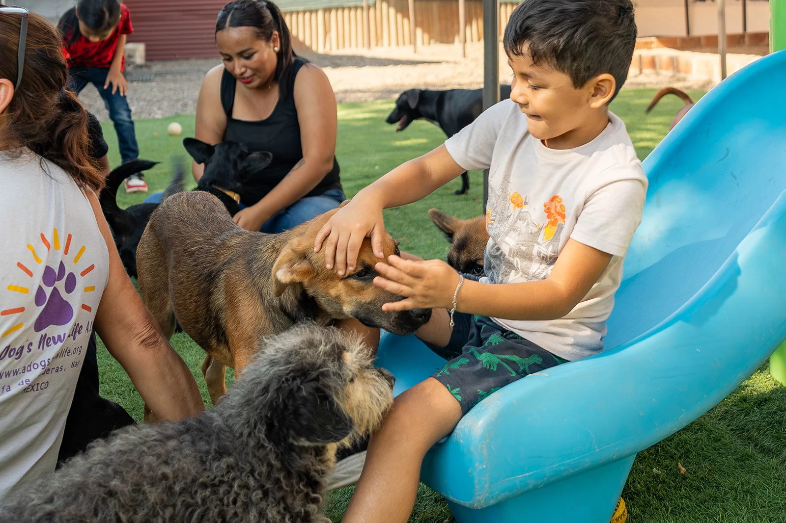 A Dog’s New Life Marival Distinct