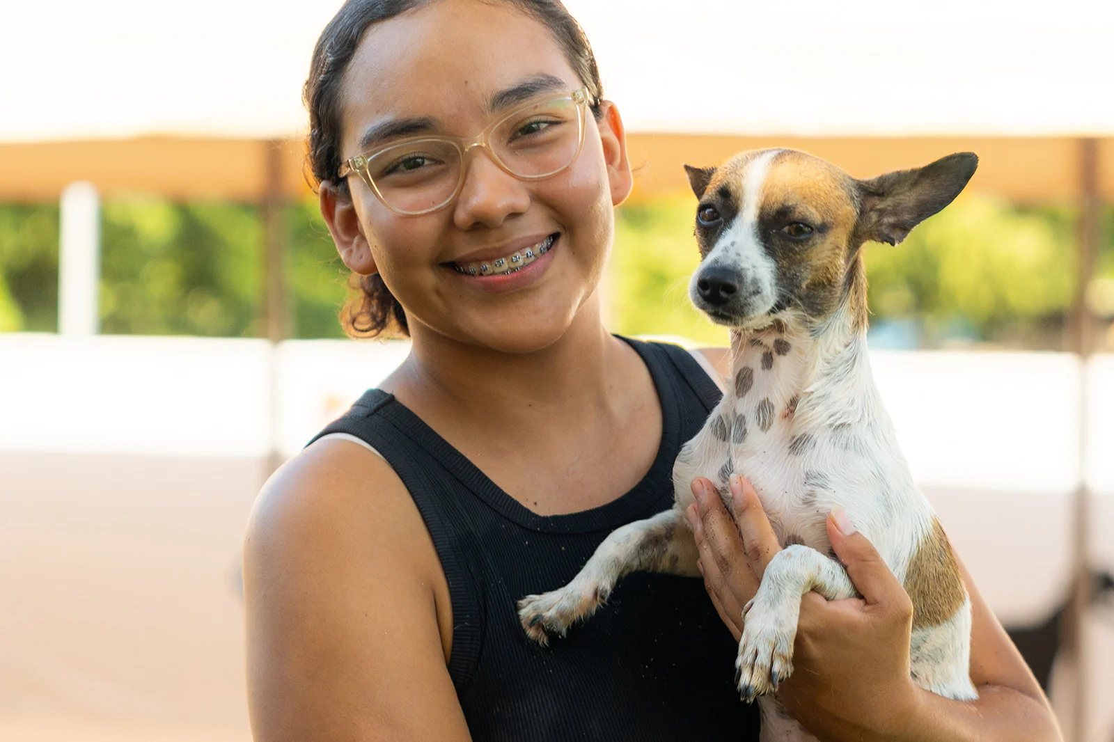 A Dog’s New Life Marival Distinct