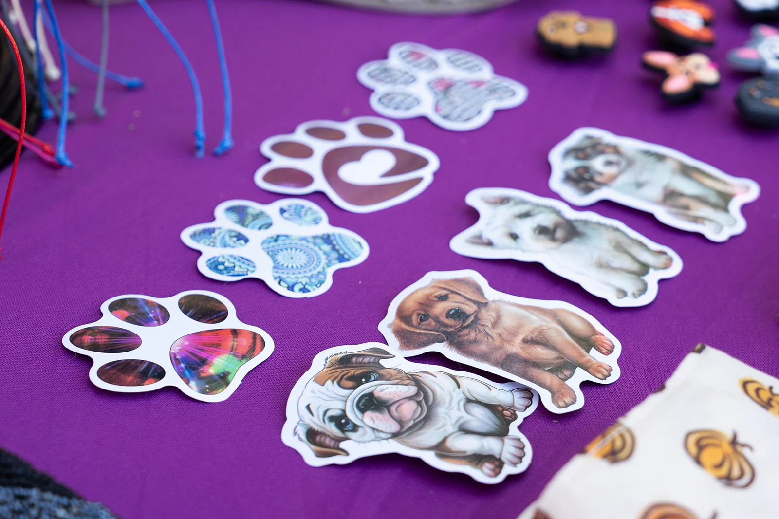 A Dog’s New Life Marival Distinct