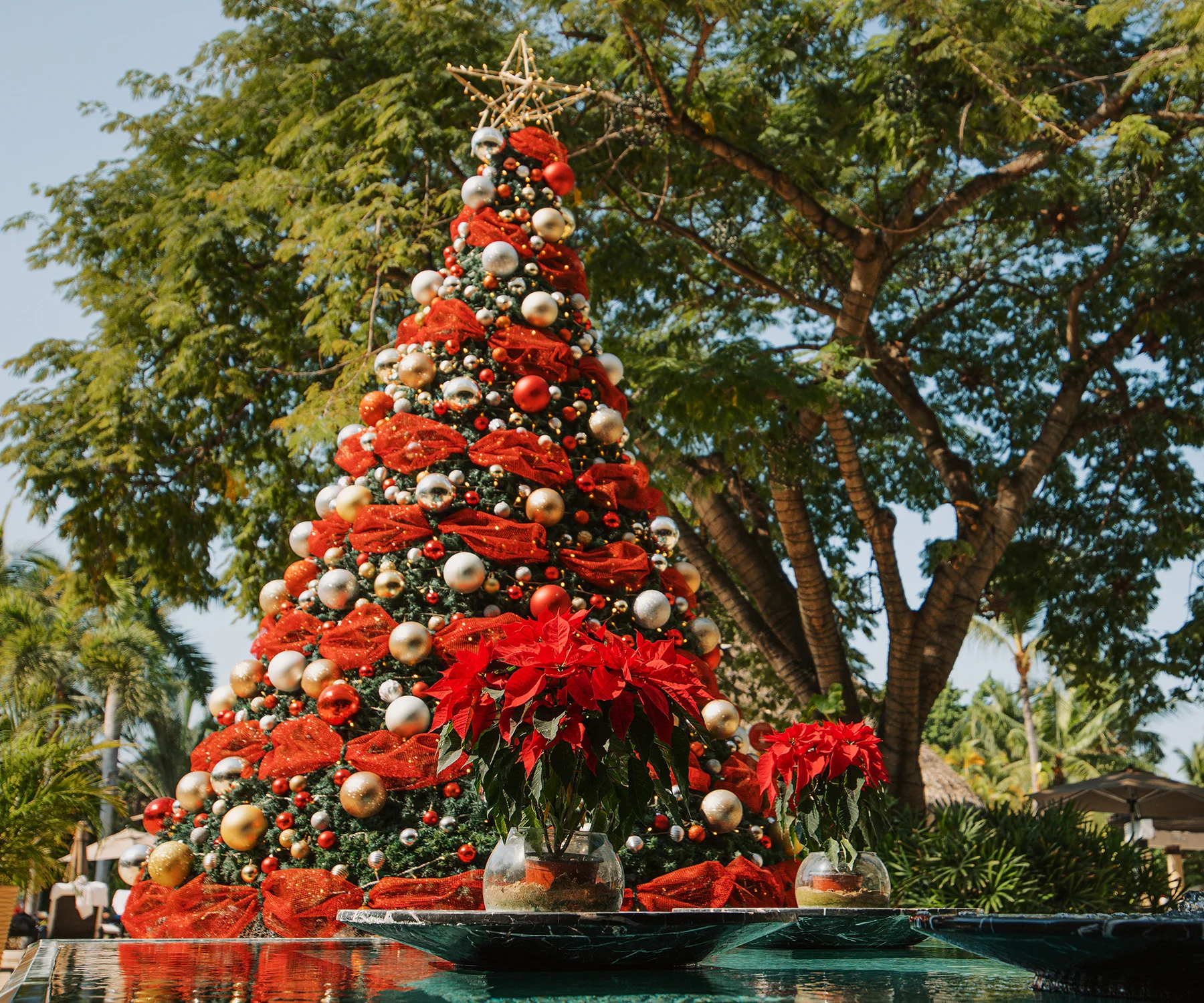 Christmas tree decorated in red and gold by the pool at Marival