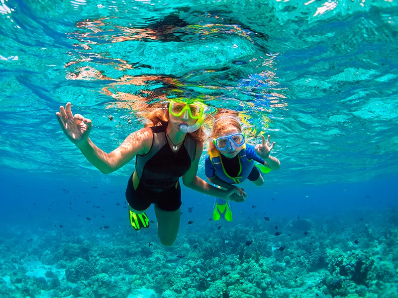 Snorkeling & Diving 