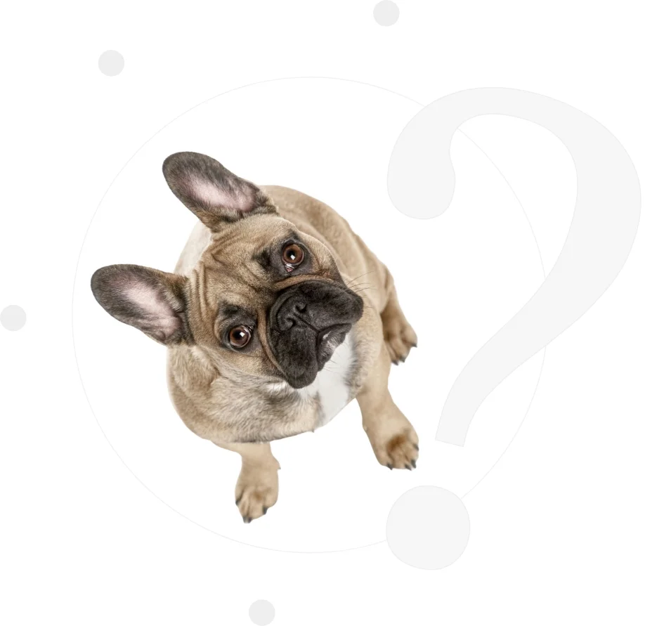 Frequently Asked Questions