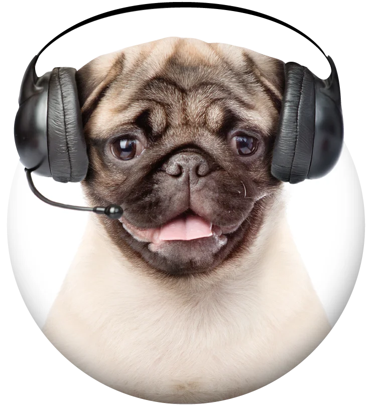 Teléfono call center